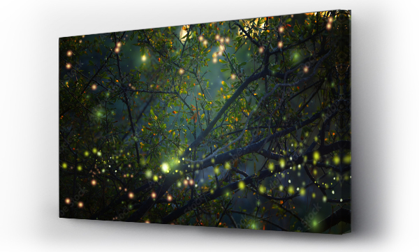 las, natura, tajemniczy, wróżki