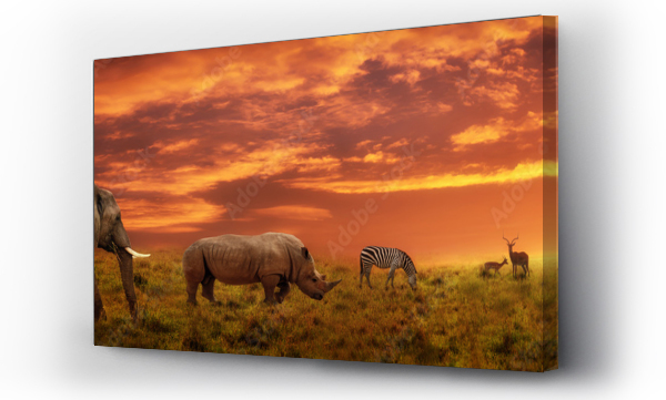 Afrykański zachód słońca panoramiczne tło z sylwetkami zwierząt
