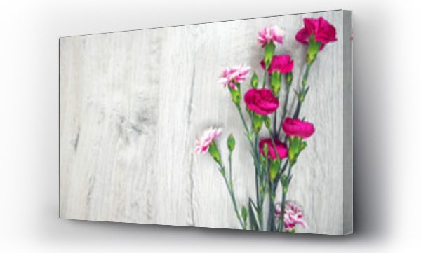 Kolorowe kwiaty, Kwiaty, różowe kwiaty