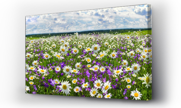 wiosenny krajobraz panorama z kwitnącymi kwiatami na łące