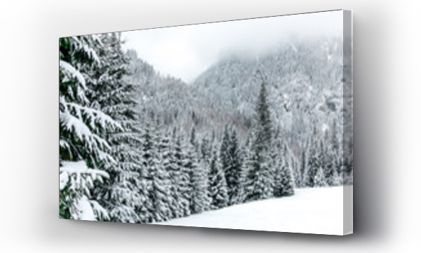 Wizualizacja Obrazu : #191257832 Zimowy widok w Dolinie Ko?cieliska.