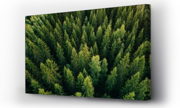 Widok z góry na letnie zielone drzewa w lesie na wsi w Finlandii.