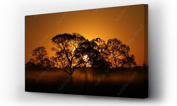 Zachód słońca w Pantanalu, Mato Grosso do Sul, Brazylia, Ameryka Południowa