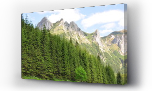 Wizualizacja Obrazu : #19561919 