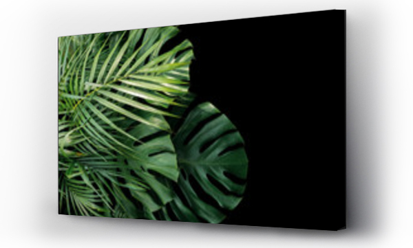 Wizualizacja Obrazu : #196801674 Tropical leaves Monstera philodendron, fern and palm leaves ornamental foliage plants flora arrangement nature backdrop on black background.