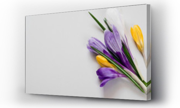 Kolorowe kwiaty na szarym tle