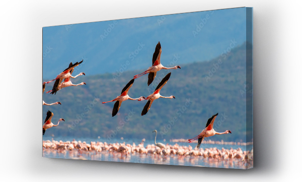 Wizualizacja Obrazu : #200846276 Flamingos