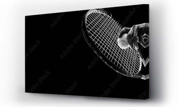 Wizualizacja Obrazu : #200884843 Tennisman