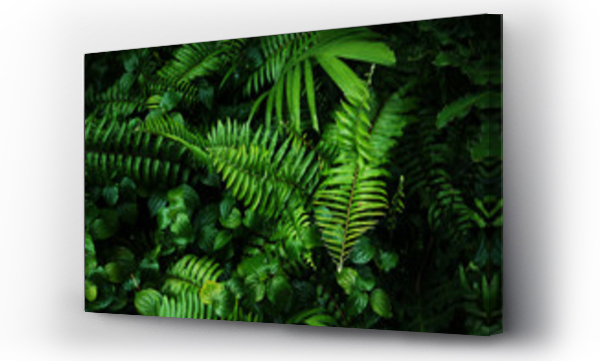 Wizualizacja Obrazu : #202326601 Tropical green leaf
