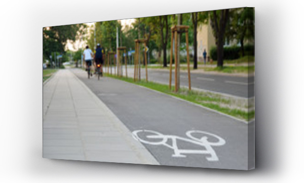 Wizualizacja Obrazu : #203712209 Znak drogowy rowerowy na asfalcie. Ci?g pieszo-rowerowy.