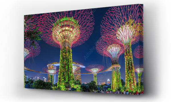 Wizualizacja Obrazu : #204831131 Panorama Gardens by the Bay z kolorowym oświetleniem o niebieskiej godzinie w Singapurze, Southeast Asia. Popularna atrakcja turystyczna w rejonie zatoki marina.