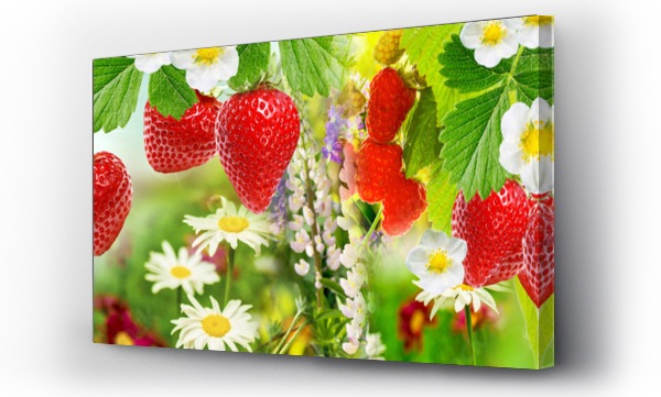 Wizualizacja Obrazu : #205832257 świeże jagody letni ogród