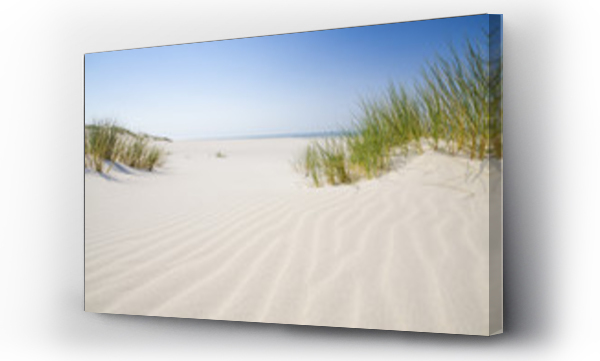 dzika plaża, morze, pejzaż, plaża