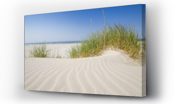 dzika plaża, morze, pejzaż, plaża, trawa piasek