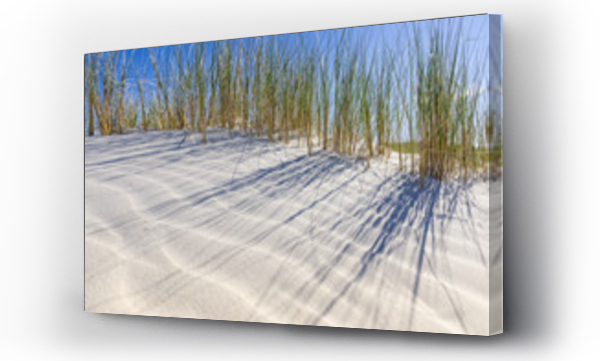 dzika plaża, morze, morze bałtyckie, trawa piasek