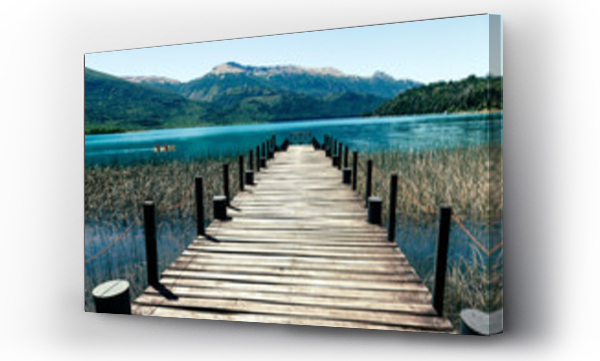 Wizualizacja Obrazu : #209135348 Jezioro Molo w Tronador Area Patagonia Argentyna