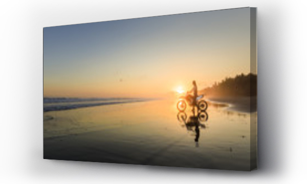 Wizualizacja Obrazu : #209153952 Młoda kobieta na rowerze BMX