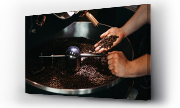 Wizualizacja Obrazu : #209264932 Hands of a men holding a fresh roasted bean above a metal drum full of coffee beans