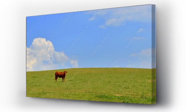 pejzaż, Pejzaż wiejski