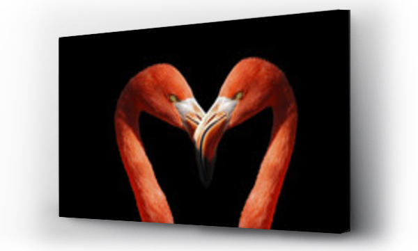 Wizualizacja Obrazu : #209373992 flamingo on black background