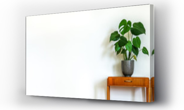 Wizualizacja Obrazu : #209679653 Modern retro interior. Vintage table with a potted plant, fruit salad tree (Monstera deliciosa). Empty white wall in background. Copy space for text.