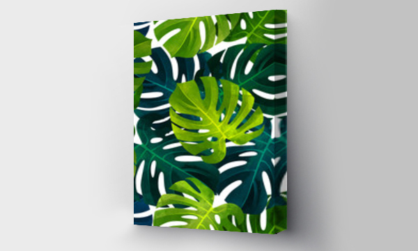 Wizualizacja Obrazu : #209710150 Tropical seamless pattern with monstera leaves. Fashionable summer background.