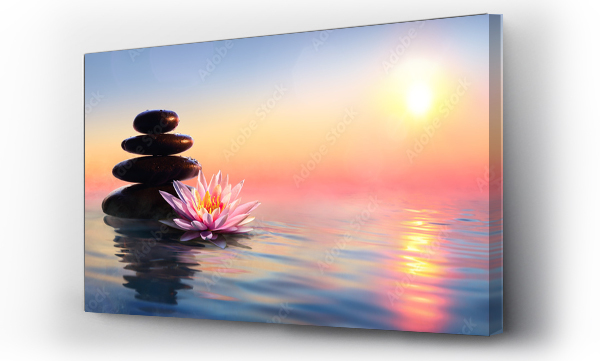 Koncepcja Zen - kamienie spa i lilie wodne w jeziorze przy zachodzie słońca
