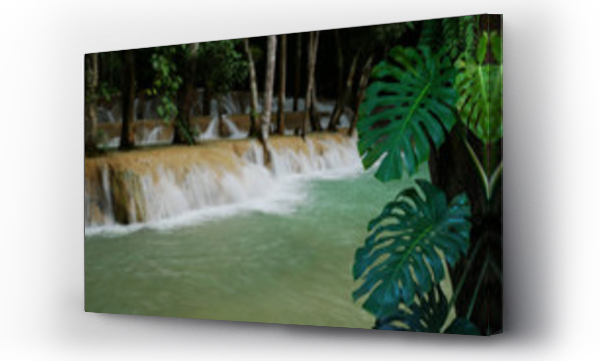 Wizualizacja Obrazu : #210465684 Tropical foliage monstera philodendron plant (Monstera deliciosa) climbing on jungle tree trunk with rainforest waterfall blurred nature background.