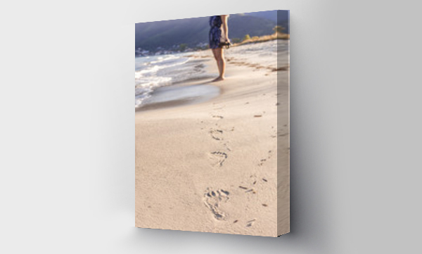 Wizualizacja Obrazu : #210638776 Wakacje nad morzem