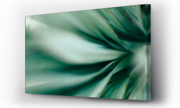 abstrakcyjne, natura