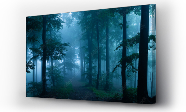 Panorama mglistego lasu. Bajkowy upiorny wygląd lasu w mglisty dzień. Zimny mglisty poranek w strasznym lesie