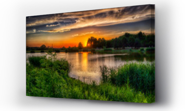 drzewo, zachód słońca