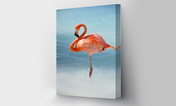 Wizualizacja Obrazu : #212141603 like a flamingo