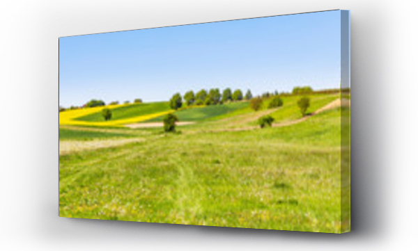 pejzaż, Pejzaż wiejski, łąka