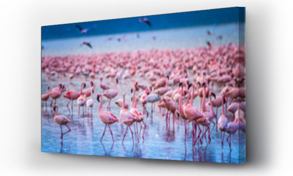 Wizualizacja Obrazu : #213571116 Afryka. Kenia. Jezioro Nakuru. Flamingo. Stado flamingów. Przyroda Kenii. Ptaki Afryki.