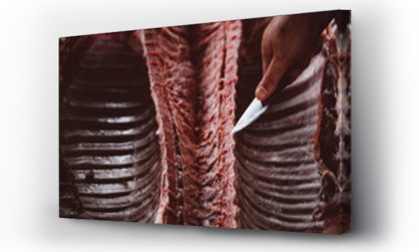 Wizualizacja Obrazu : #219038280 A man uses a short knife to cut into a rack of uncooked pork ribs