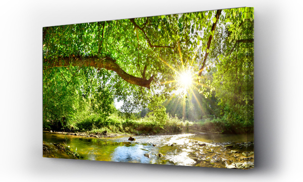 Piękna panorama lasu z potokiem i jasnym słońcem prześwitującym przez drzewa