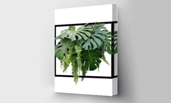 Wizualizacja Obrazu : #219981700 Tropical foliage plant bush of Monstera and hanging fern green leaves floral arrangment nature backdrop with black frame on white background.