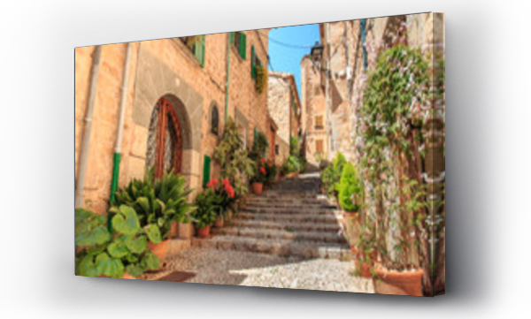 Wizualizacja Obrazu : #220624403 Fornalutx - Majorka