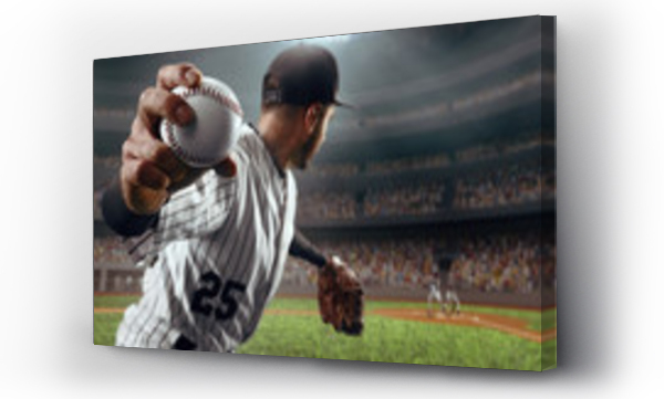 Wizualizacja Obrazu : #220791837 Baseball player throws the ball on professional baseball stadium