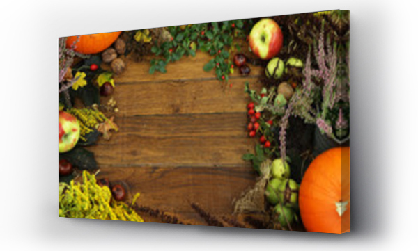 jesień, Kwiaty, Łąka kwiaty