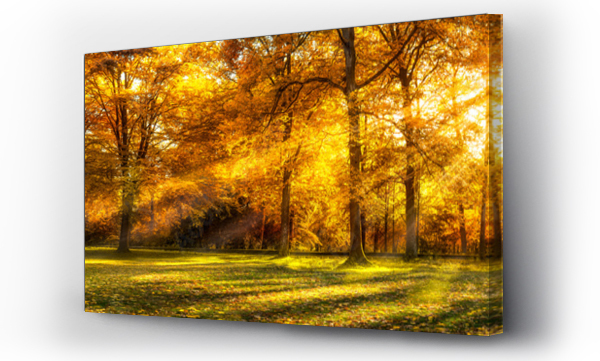 Wizualizacja Obrazu : #222493761 Jesienna panorama lasu jako tło