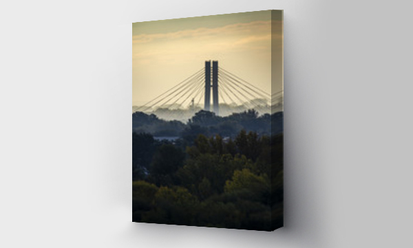 drzewa, miasto, Warszawa