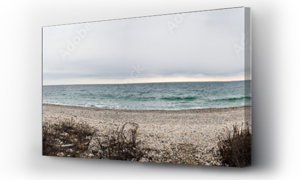 Wizualizacja Obrazu : #225418915 Winter Beach panorama