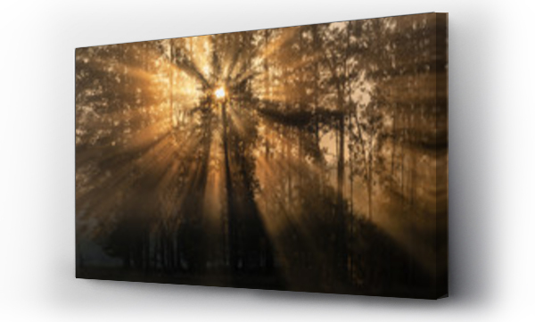 Krajobrazy, Noc woda