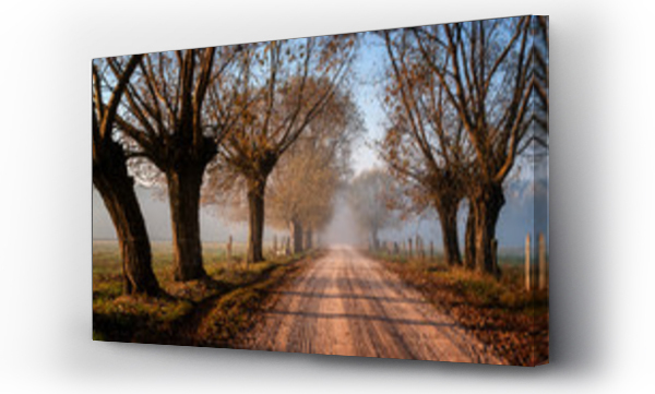 Krajobrazy, zlota polska jesien