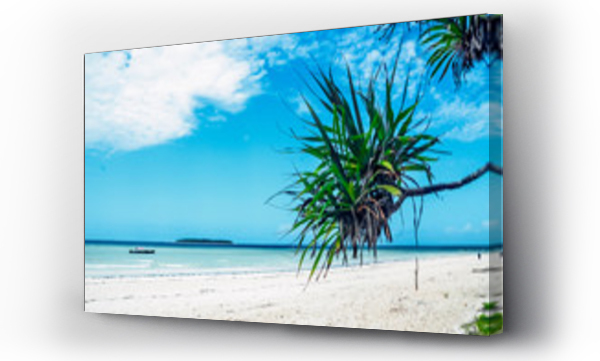 Wizualizacja Obrazu : #229900972 Tree on a paradise beach white sand blue ocean sea view