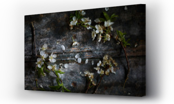 abstrakcyjne, morbid