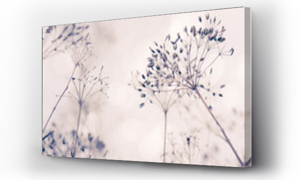 abstrakcyjne, beżowy