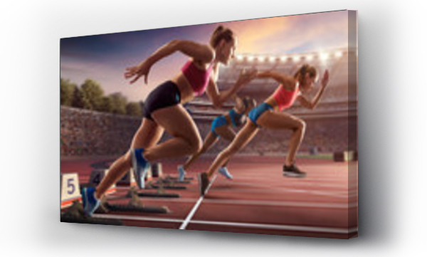 Wizualizacja Obrazu : #230850658 Female athletes sprinting. Three women in sport clothes run at the running track in professional stadium